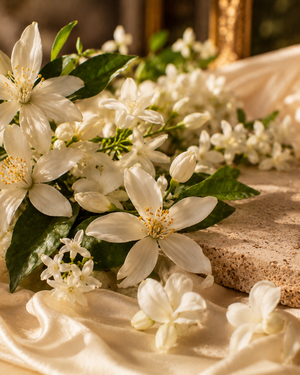 Fleur d’oranger jasmin • féminité lumineuse