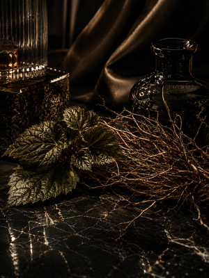 Patchouli vétiver • élégance sombre