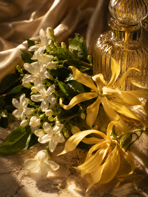 Jasmin ylang • sensualité solaire