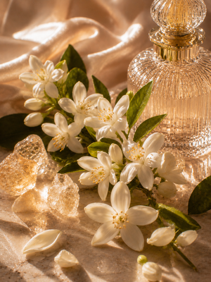 Fleur d’oranger ambroxan • douceur lumineuse