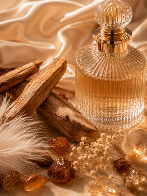 Santal musc ambré • fond enveloppant