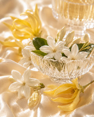 Jasmin ylang-ylang • féminité lumineuse