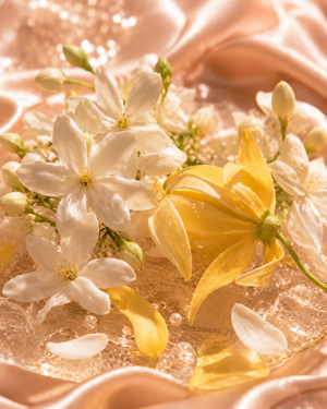 Jasmin & Ylang-Ylang — Floralité Crémeuse