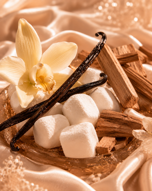 Vanille, Marshmallow & Santal — Fond Cocooning