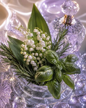 Muguet, Basilic & Romarin — Fraîcheur Aromatique