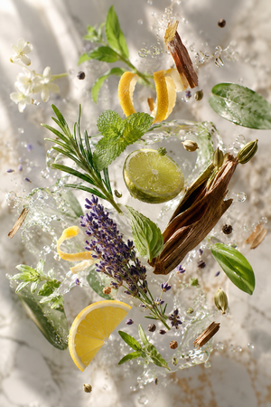 Fraîcheur aromatique et énergie raffinée